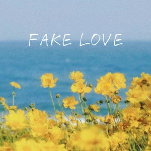 Fake Love