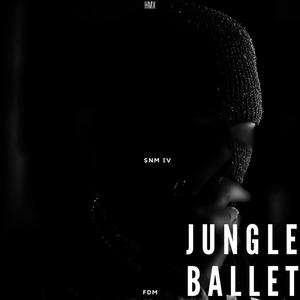 SHADES N MONSTERS IV " JUNGLE BALLET"