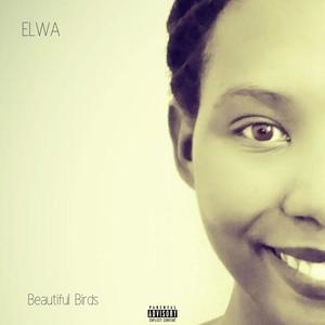 Beautiful Birds(feat. Teabag) (Explicit)