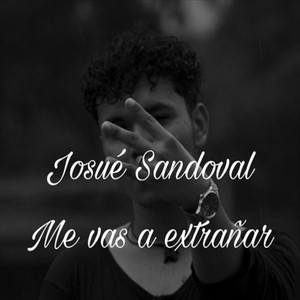 Me Vas a Extrañar