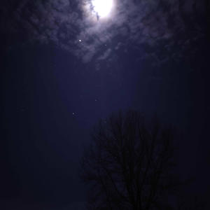 influence (Explicit)