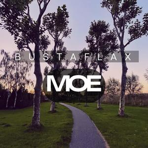 MOE (Explicit)