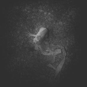 Put down the phone (Explicit)