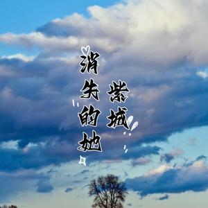 紫城 - 消失的她