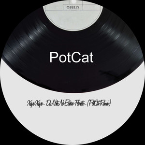 De Noite No Bairro Floresta (PotCat Remix)
