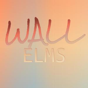 Wall Elms