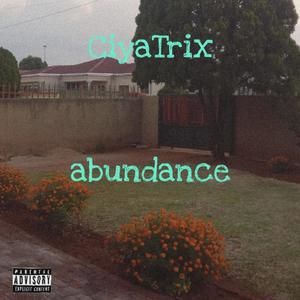 Abundance