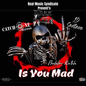 Is You Mad (feat. CatchOne Street, AD Santana & Bubba Ku$h) [Explicit]