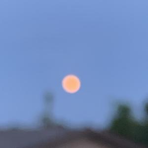 Hey Girl, Nice to Meet You