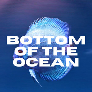 Bottom of the Ocean