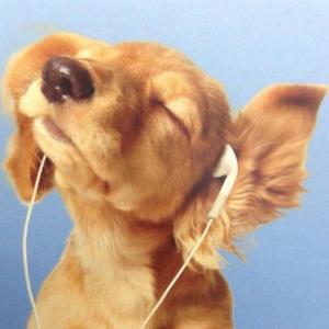 cali freestyle (Explicit)