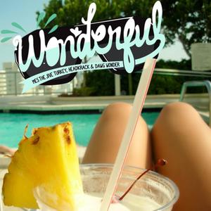 Wonderful (feat. Headkrack & Dawg Wonder) (Explicit)