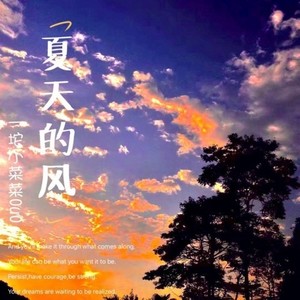 夏天的风