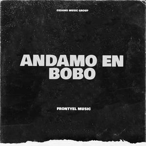 ANDAMO EN BOBO (feat. PiketeProducer & Francis Cedano)