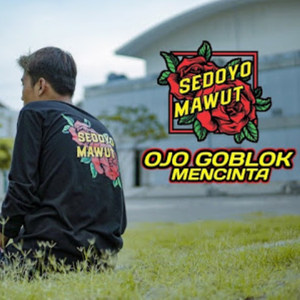 Ojo Goblok Mencinta