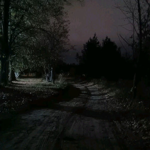 the path less travelled (slowed & reverb with rain)