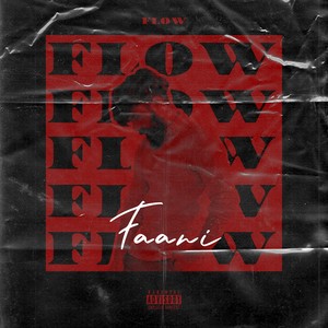 Flow (Explicit)