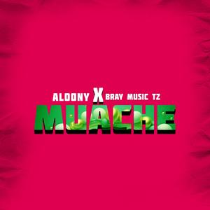 Muache (feat. Bray musictz)