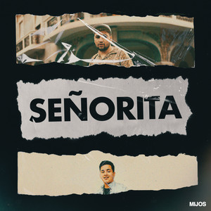 Señorita (Explicit)