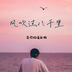 风吹过八千里