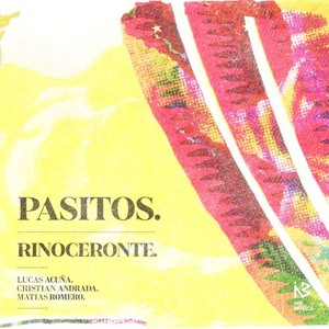 PASITOS.  Rinoceronte.