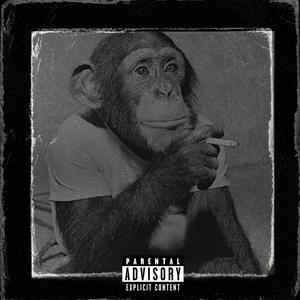 Bop Bop (feat. Top Dawg, Sage Wrld & El Fazri) (Explicit)
