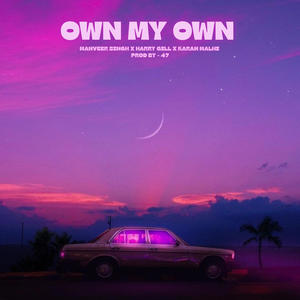 ON MY OWN (feat. KARAN MALHI & MANVEER SINGH)