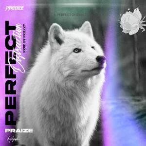 Perfect Distraction (Raw Cut) [Explicit]