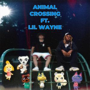Animal Crossing (feat. Lil Wayne) (Explicit)