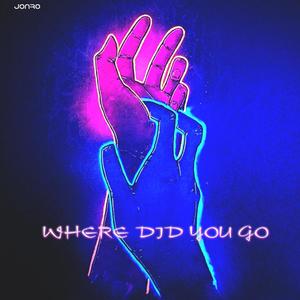 WHERE DID YOU GO