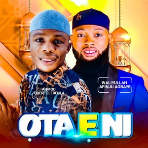 Ota e ni