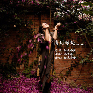 一曲情殇痛心扉 (并四舞曲)