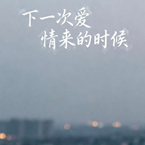 下一次爱情来的时候 (摇滚版)
