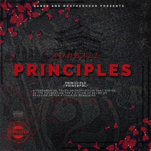 Principles (Explicit)