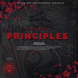 Principles (Explicit)