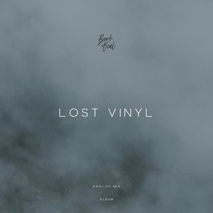 Lost Vinyl