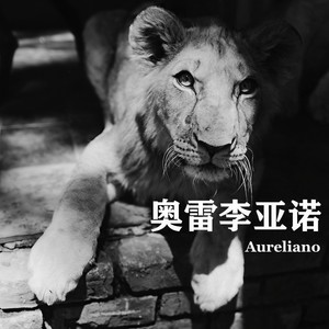 爱情是孤独的人欺骗自己