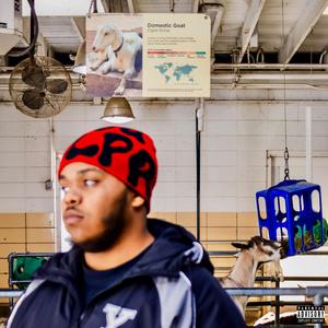 No Calls (feat. Jwasabi) (Explicit)