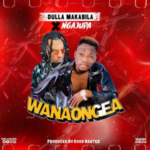 Wanaongea (feat. Dulla Makabila)