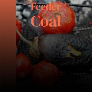 Feeder Coal