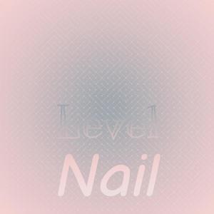 Level Nail