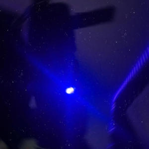 Show me! (feat. Lil Bankroll) (Explicit)