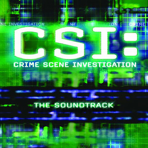 CSI: Crime Scene Investigation (The Soundtrack)