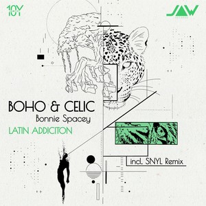 Latin Addiction (SNYL Remix)