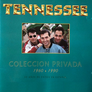 The Lion Sleeps Tonight