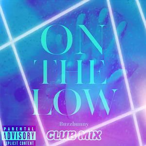 On The Low (feat. Flyy TheProducer) (JERSEY CLUB) (Explicit)