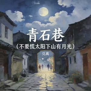 青石巷 (不要慌太阳下山有月光)封面