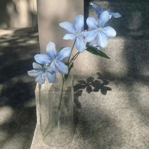 还是会miss you(高能神曲)封面