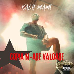 Copia n-are valoare (Freestyle) (Explicit)