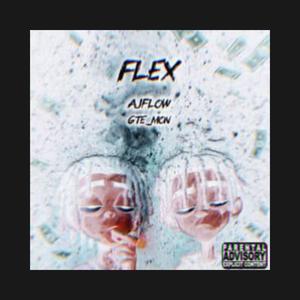 Flex (feat. gte_mon) (Explicit)